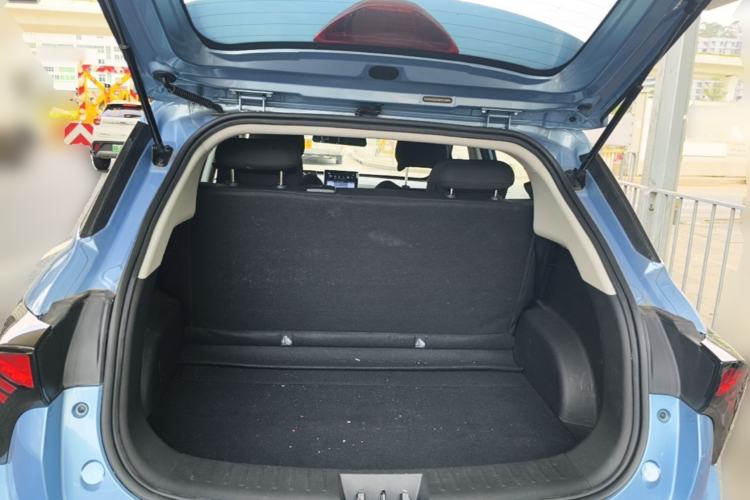 Used NETA V 2021 Standard Range Version Trunk