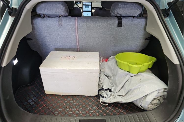 Used NETA V 2021 Standard Range Entertainment Version – Upgraded Model Trunk