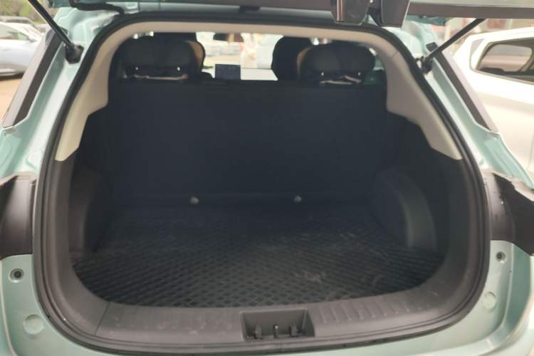 Used NETA V 2021 Long-Range Entertainment Edition Upgrade Model Trunk