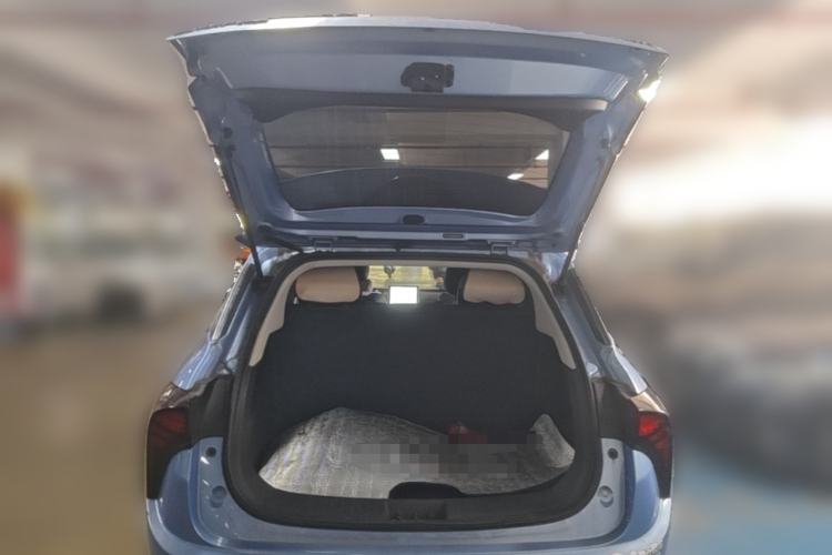 Used NETA V 2021 Standard Range Upgrade Model Trunk