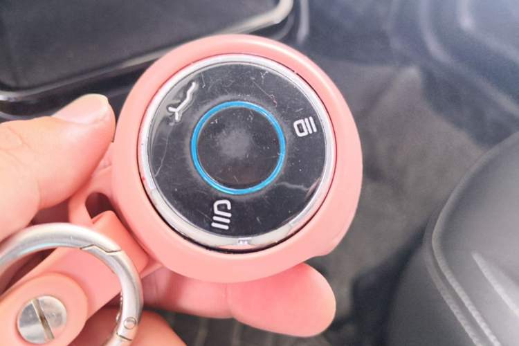 Used NETA V 2021 Standard Range Version Vehicle Key