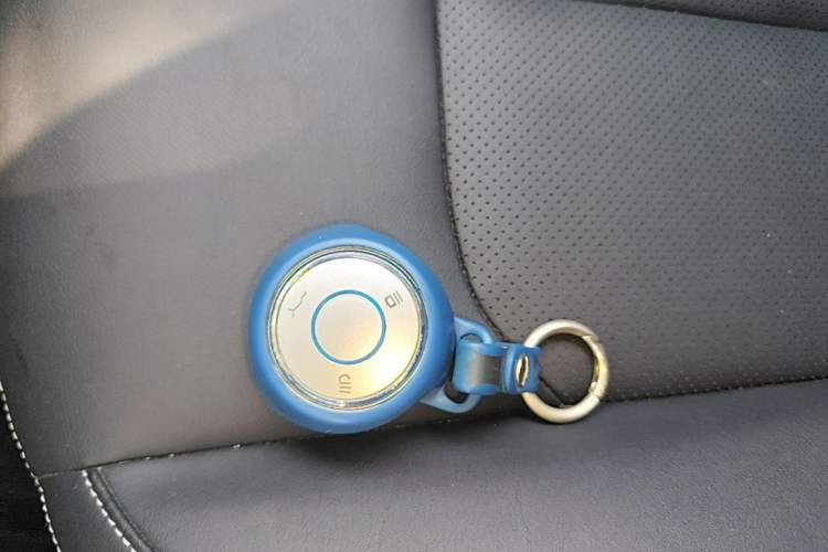 Used NETA V 2021 Long-Range Entertainment Edition Upgrade Model Vehicle Key