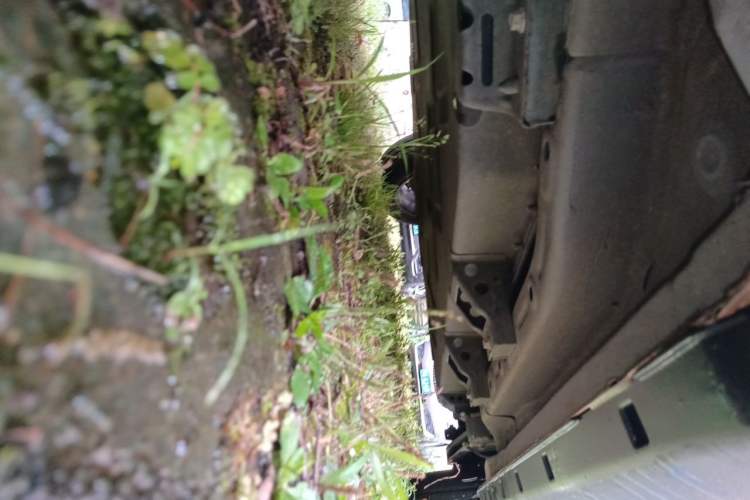Used NETA V 2021 Witch Edition Chassis Front Left