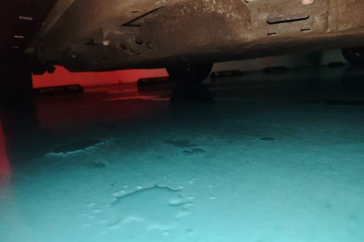 Used NETA V 2021 Witch Edition Chassis Front Right