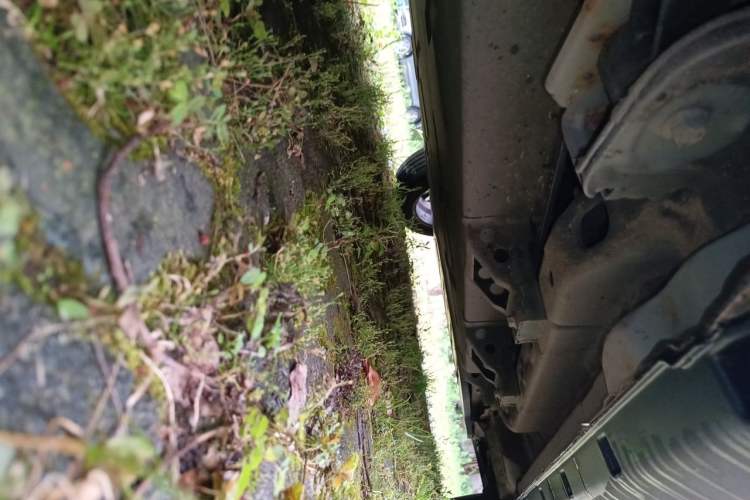 Used NETA V 2021 Witch Edition Chassis Rear Right
