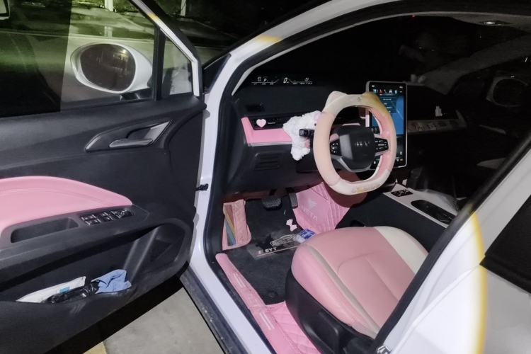 Used NETA V 2021 Witch Edition Driver Seat