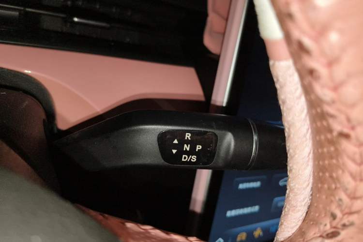 Used NETA V 2021 Witch Edition Gear Lever