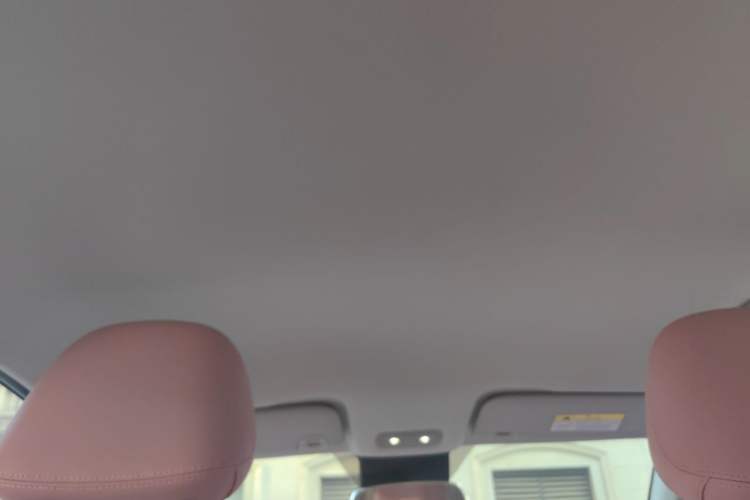 Used NETA V 2021 Long-Range Entertainment Edition Upgrade Model Headliner