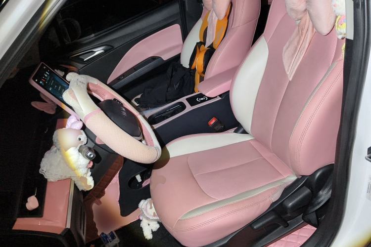 Used NETA V 2021 Witch Edition Left Front Seat