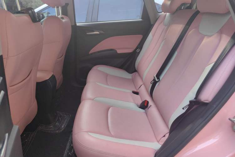 Used NETA V 2021 Long-Range Entertainment Edition Upgrade Model Left Rear Seat