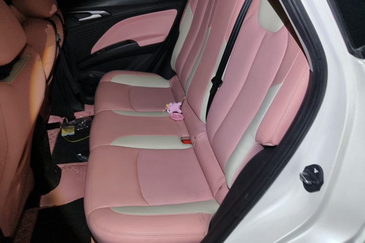 Used NETA V 2021 Witch Edition Left Rear Seat