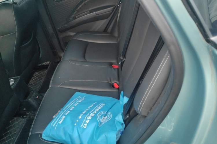 Used NETA V 2021 Long-Range Entertainment Edition Upgrade Model Left Rear Seat