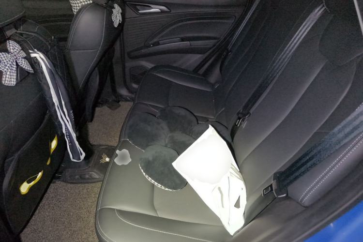 Used NETA V 2021 Long-Range Entertainment Edition Upgrade Model Left Rear Seat