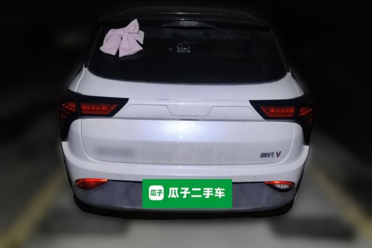 Used NETA V 2021 Witch Edition Rear