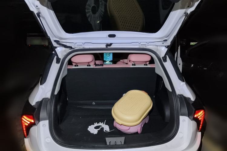 Used NETA V 2021 Witch Edition Trunk