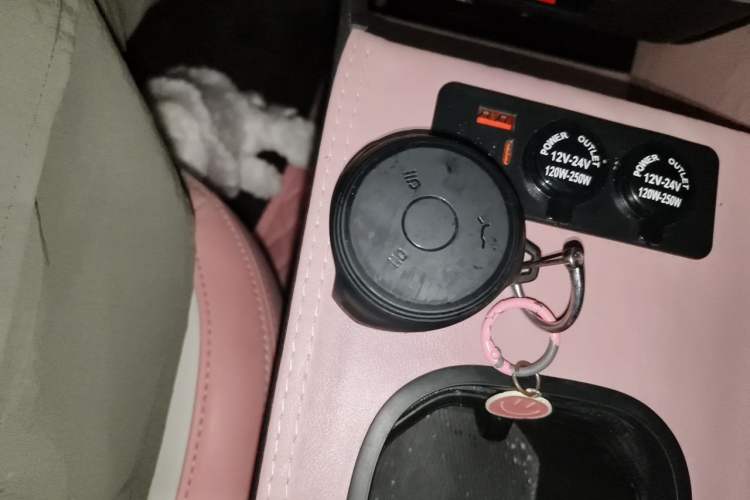 Used NETA V 2021 Witch Edition Vehicle Key