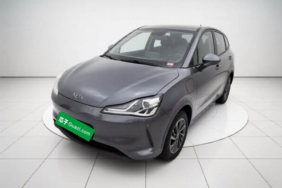 NETA V 2021