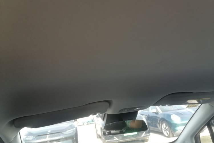 Used NETA V 2021 Long-Range Entertainment Edition Upgrade Model Headliner