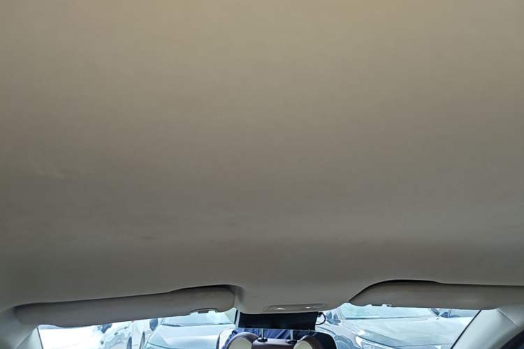 Used NETA V 2021 Long-Range Entertainment Edition Upgrade Model Headliner
