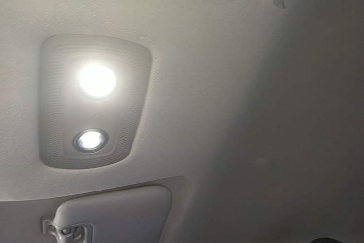 Used NETA V 2021 Standard Range Entertainment Version – Upgraded Model Headliner