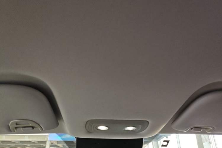 Used NETA V 2021 Long-Range Entertainment Edition Headliner