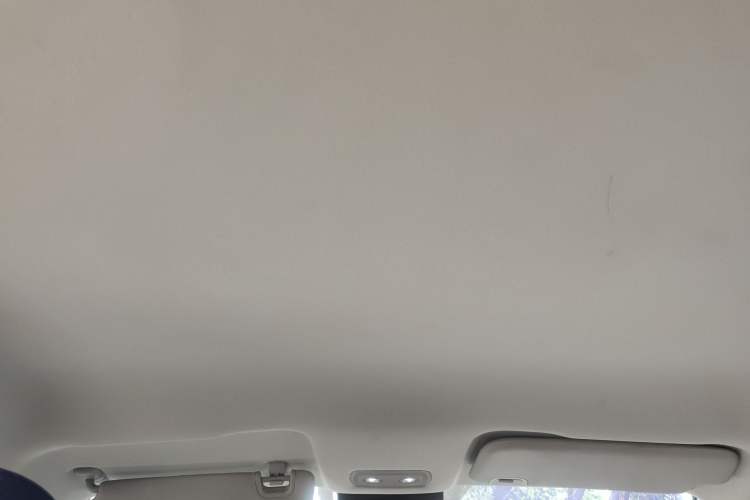 Used NETA V 2021 Standard Range Entertainment Edition Headliner