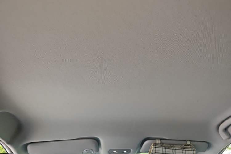 Used NETA V 2021 Standard Range Entertainment Version – Upgraded Model Headliner