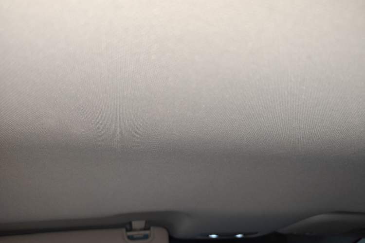 Used NETA V 2021 Long-Range Entertainment Edition Headliner