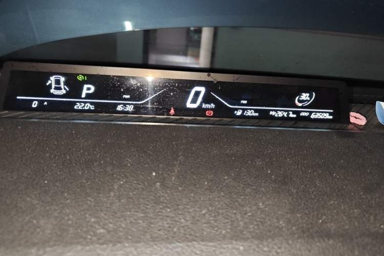 Used NETA V 2021 Long-Range Entertainment Edition Instrument Cluster