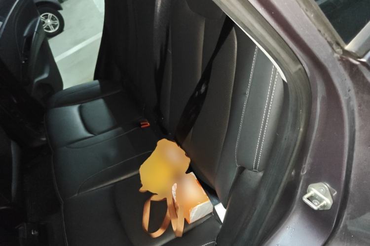 Used NETA V 2021 Long-Range Entertainment Edition Left Rear Seat