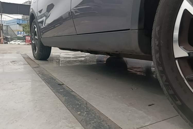 Used NETA V 2021 Long-Range Entertainment Edition Left Side Sill