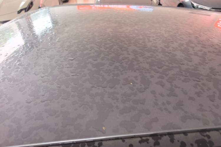 Used NETA V 2021 Long-Range Entertainment Edition Upgrade Model Roof