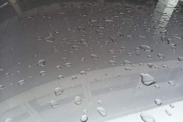 Used NETA V 2021 Standard Range Version Roof