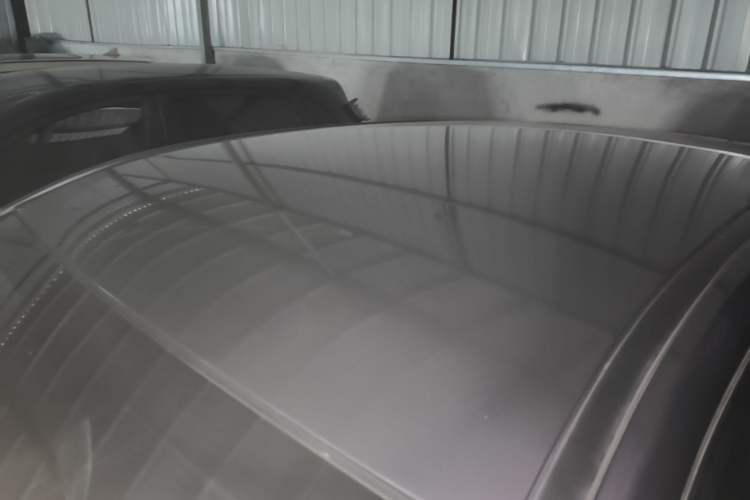 Used NETA V 2021 Long-Range Entertainment Edition Upgrade Model Roof
