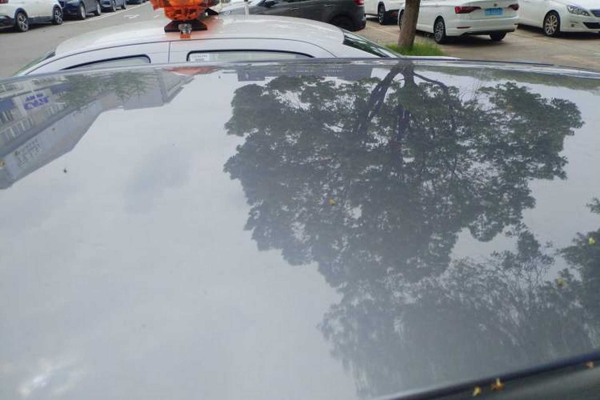 Used NETA V 2021 Standard Range Entertainment Edition Roof