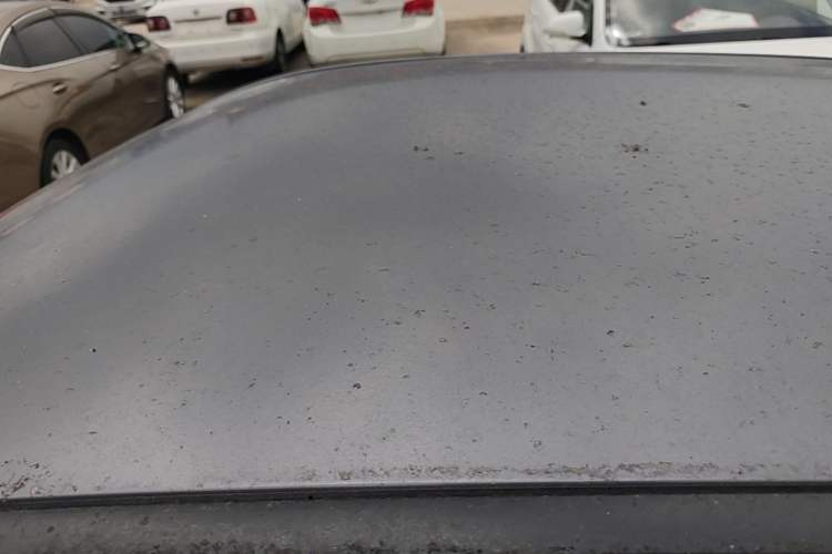Used NETA V 2021 Standard Range Entertainment Version – Upgraded Model Roof