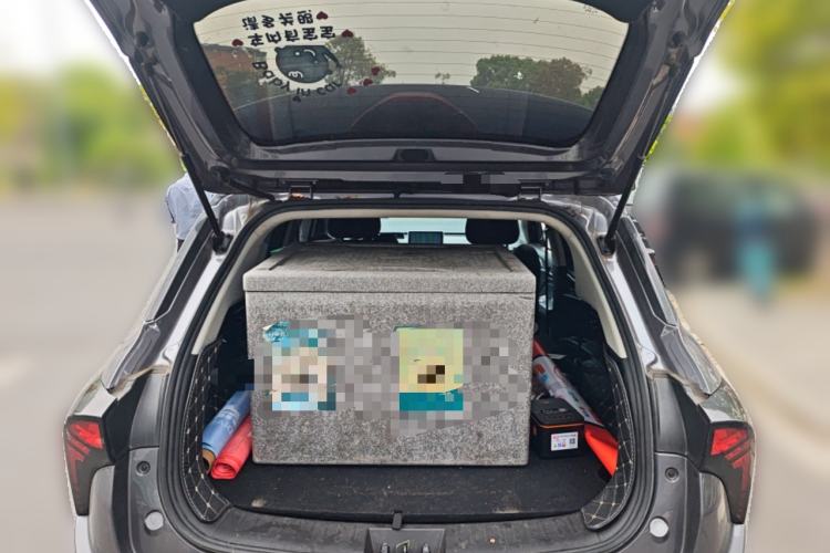 Used NETA V 2021 Standard Range Entertainment Version – Upgraded Model Trunk