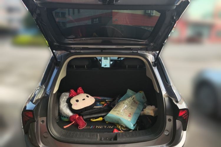 Used NETA V 2021 Long-Range Entertainment Edition Upgrade Model Trunk