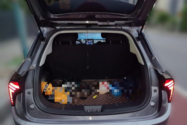 Used NETA V 2021 Standard Range Entertainment Edition Trunk