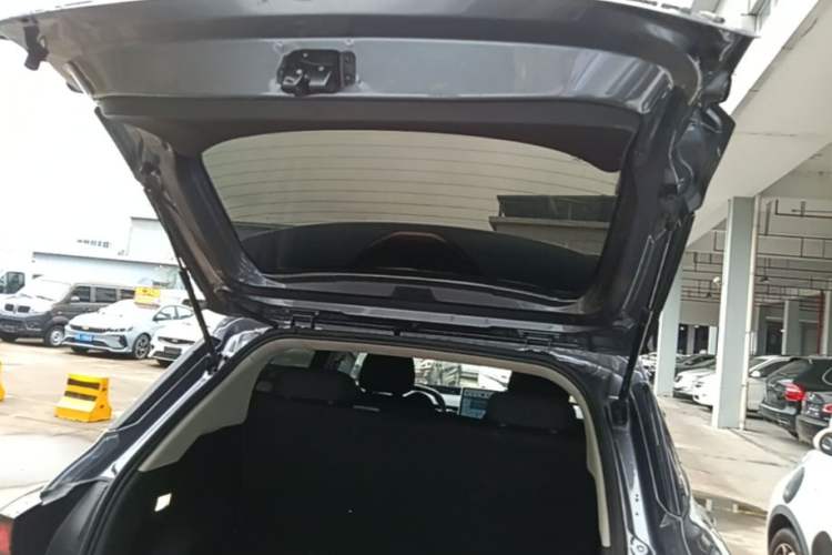 Used NETA V 2021 Standard Range Version Trunk