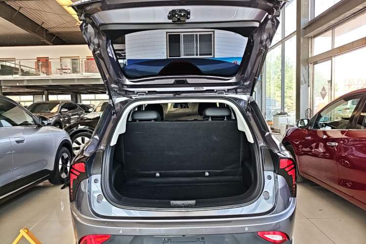 Used NETA V 2021 Long-Range Entertainment Edition Trunk