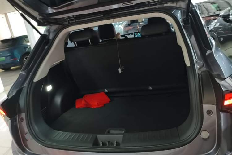 Used NETA V 2021 Long-Range Entertainment Edition Trunk