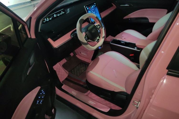 Used NETA V 2021 Witch Edition Driver Seat