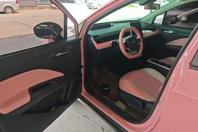 Used NETA V 2021 Witch Edition Driver Seat