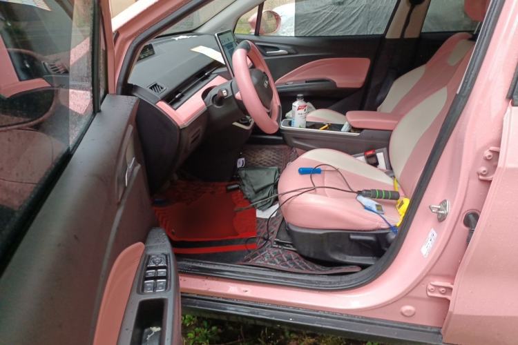 Used NETA V 2021 Witch Edition Driver Seat