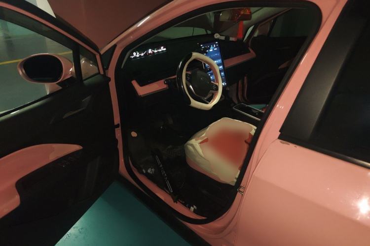 Used NETA V 2021 Witch Edition Driver Seat