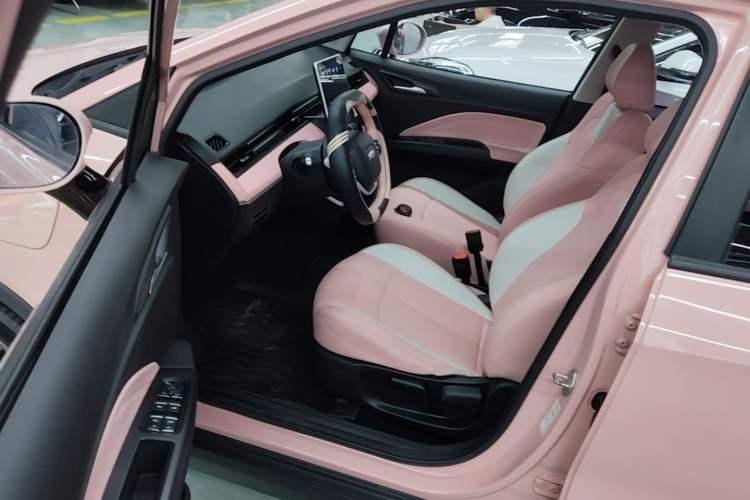 Used NETA V 2021 Witch Edition Driver Seat