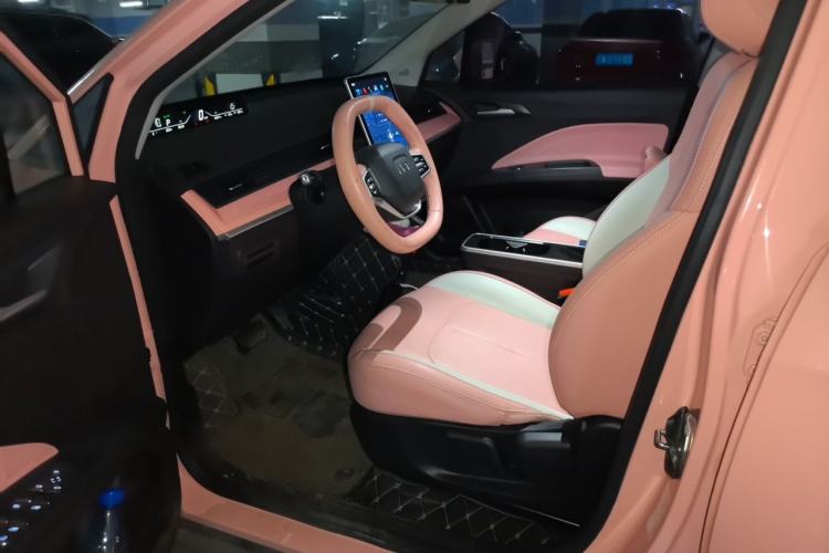 Used NETA V 2021 Witch Edition Driver Seat