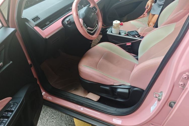 Used NETA V 2021 Witch Edition Driver Seat