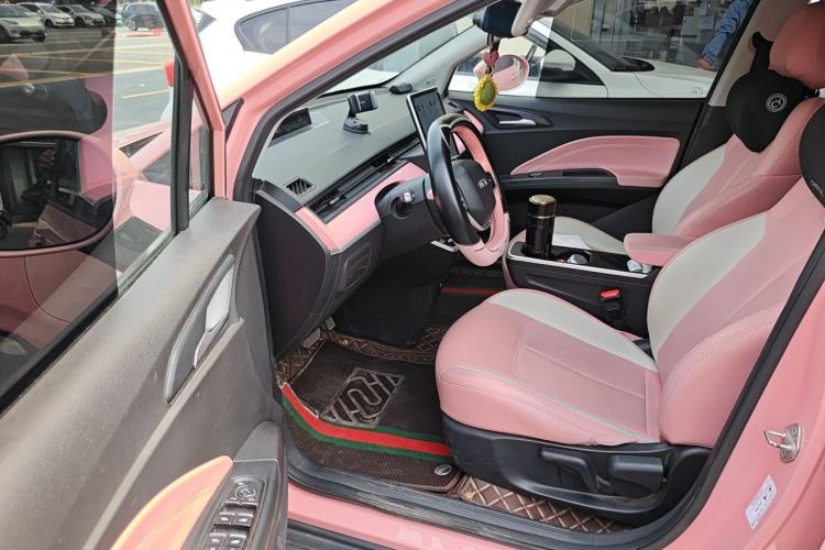 Used NETA V 2021 Witch Edition Driver Seat